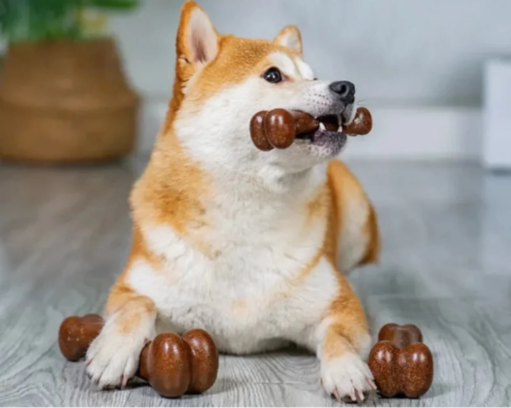 Natural Wood Dog Chew Bone Toy – 2-Pack | Non-Toxic, Indestructible