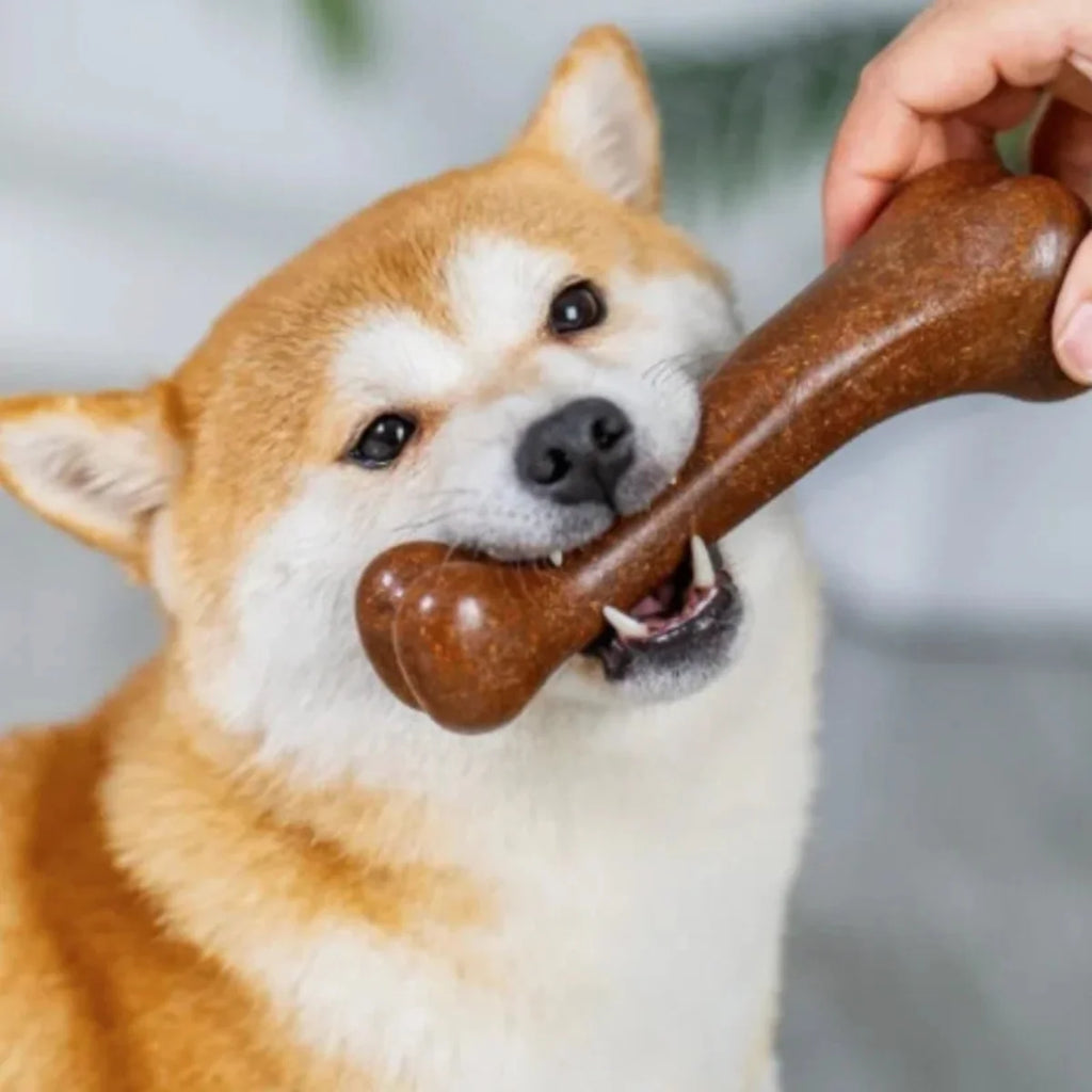 Natural Wood Dog Chew Bone Toy – 2-Pack | Non-Toxic, Indestructible