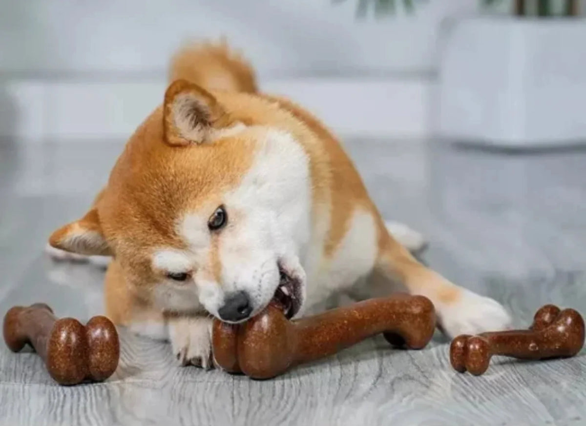Natural Wood Dog Chew Bone Toy – 2-Pack | Non-Toxic, Indestructible