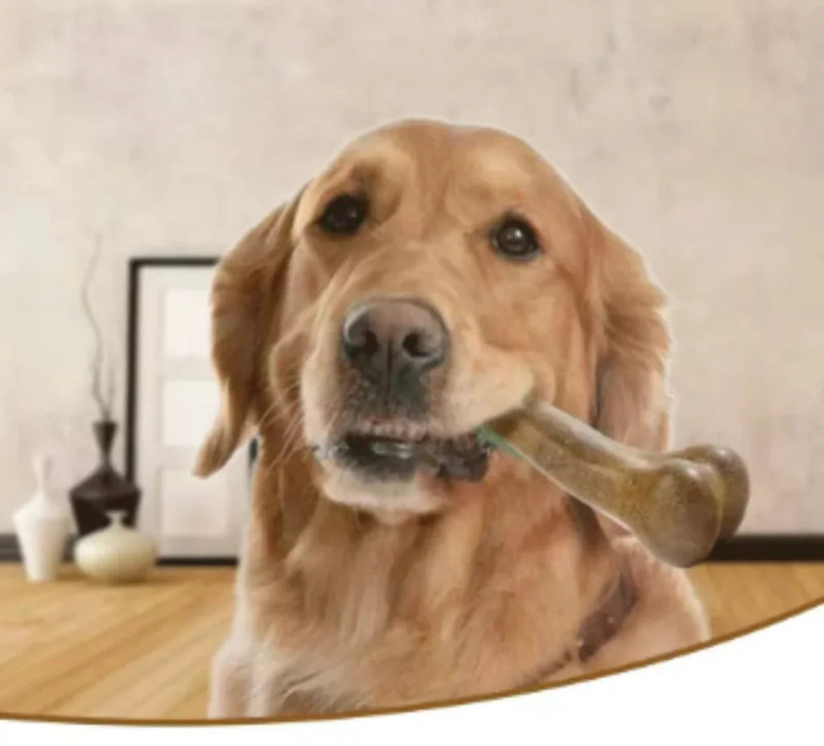 Natural Wood Dog Chew Bone Toy – 2-Pack | Non-Toxic, Indestructible